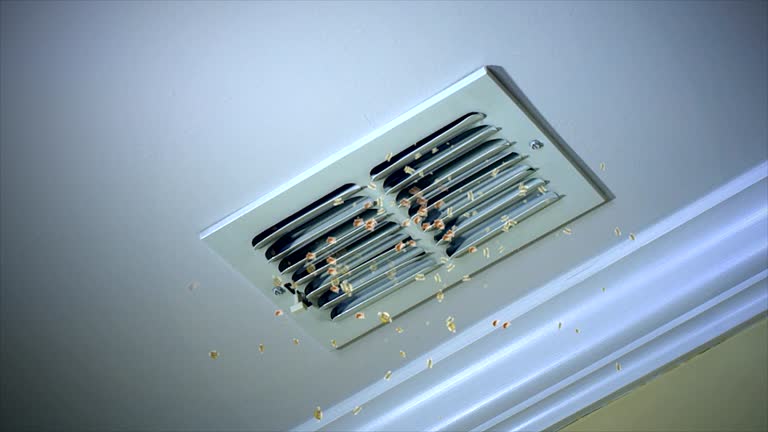 Best HVAC Duct Inspection Services  in Blountstown, FL
